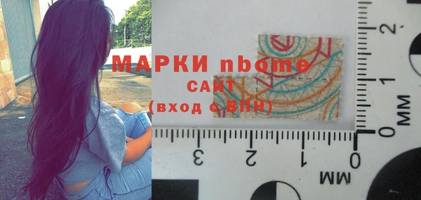 индика Алексин