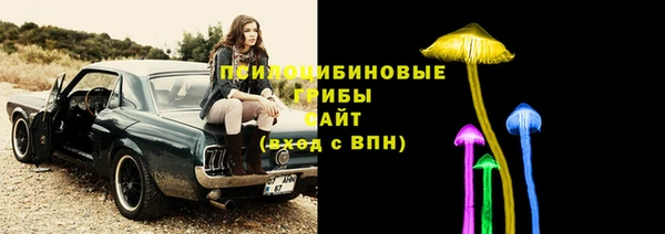 прущие крисы Алексеевка