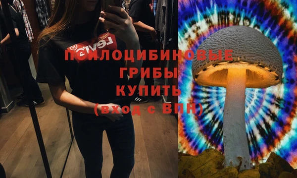 альфа пвп Алзамай