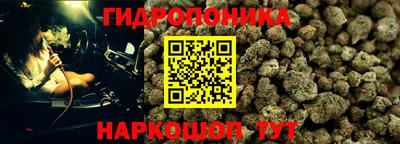 гидра Будённовск