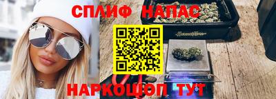 гидра Будённовск