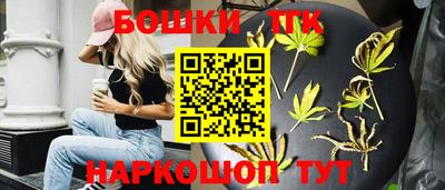 гидра Будённовск