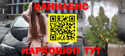 гидра Будённовск
