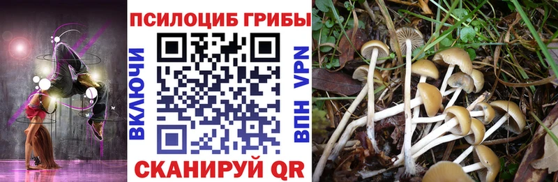 МЕГА ссылки  Магадан  Галлюциногенные грибы Magic Shrooms 