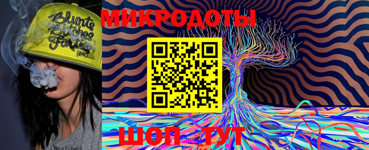 Псилоцибиновые грибы Cubensis Магадан