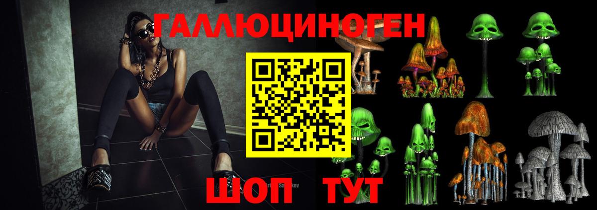 Магадан  наркошоп  Вход с VPN  Галлюциногенные грибы прущие грибы  Галлюциногенные грибы Psilocybe 