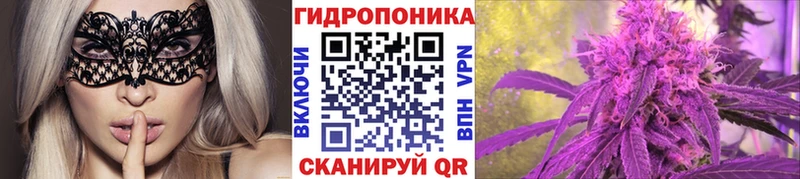 kraken сайт  Магадан  Каннабис Amnesia 